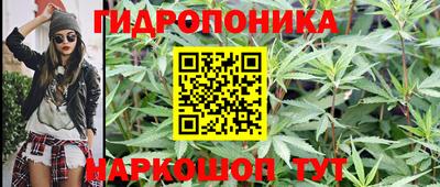 гидра Гусев